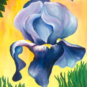 Blue Iris Print