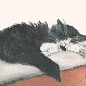 Sleeping Cat Print