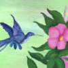 Blue Hummingbird reaching in to grab the nectar of a bright pink flower