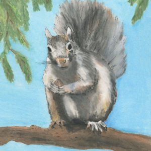 Squirrel Print
