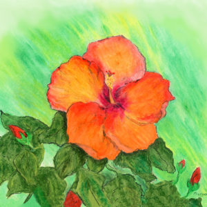 Orange Hibiscus Print