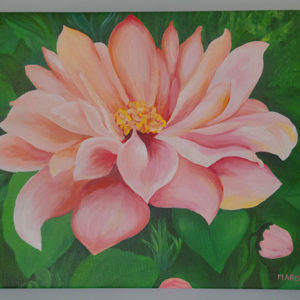 Peach Flower Print