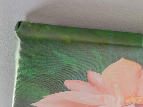 Peach Flower Print