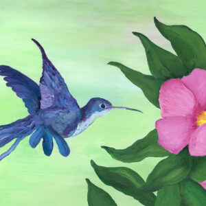 Hummingbird Print